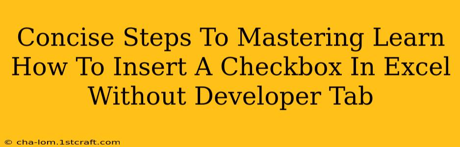 Concise Steps To Mastering Learn How To Insert A Checkbox In Excel Without Developer Tab