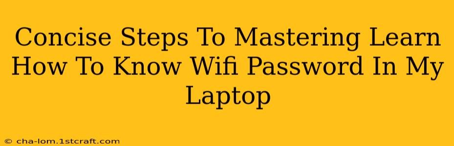 Concise Steps To Mastering Learn How To Know Wifi Password In My Laptop