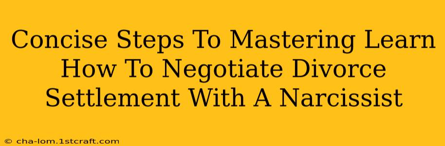 Concise Steps To Mastering Learn How To Negotiate Divorce Settlement With A Narcissist