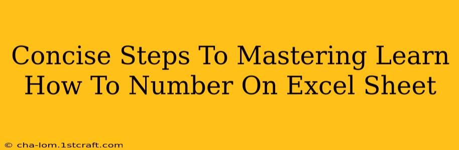 Concise Steps To Mastering Learn How To Number On Excel Sheet