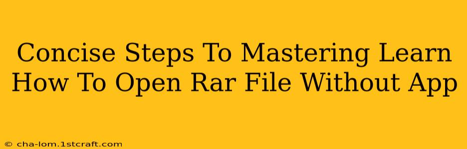 Concise Steps To Mastering Learn How To Open Rar File Without App