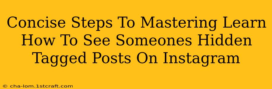 Concise Steps To Mastering Learn How To See Someones Hidden Tagged Posts On Instagram