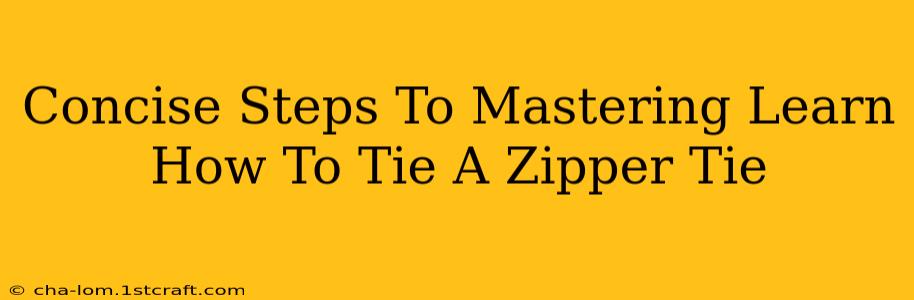 Concise Steps To Mastering Learn How To Tie A Zipper Tie