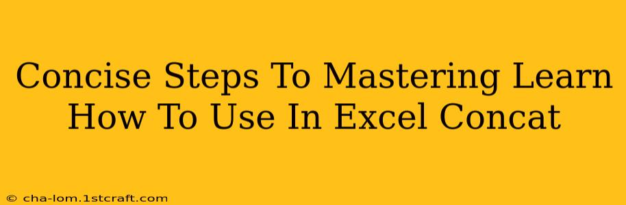 Concise Steps To Mastering Learn How To Use In Excel Concat