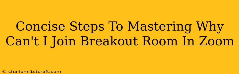 Concise Steps To Mastering Why Can't I Join Breakout Room In Zoom