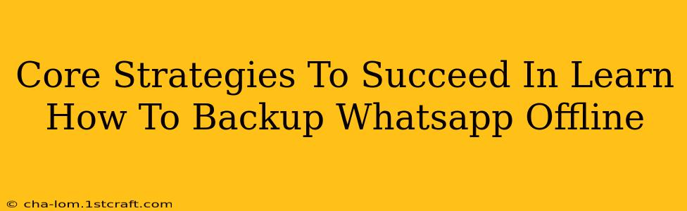 Core Strategies To Succeed In Learn How To Backup Whatsapp Offline