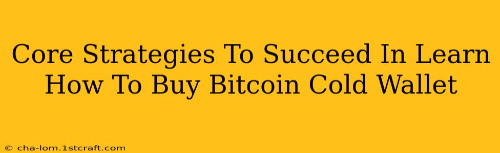 Core Strategies To Succeed In Learn How To Buy Bitcoin Cold Wallet