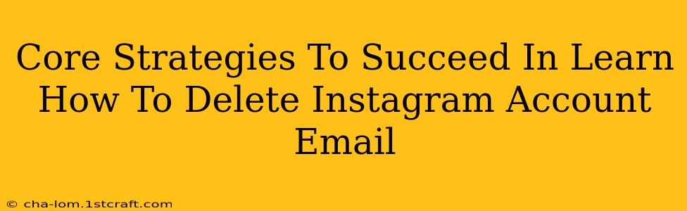 Core Strategies To Succeed In Learn How To Delete Instagram Account Email