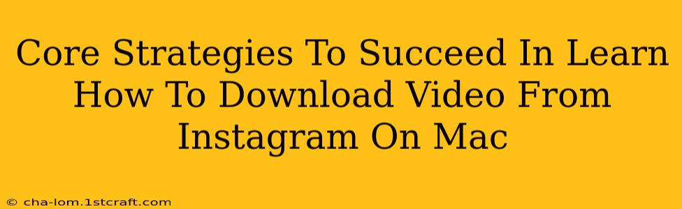 Core Strategies To Succeed In Learn How To Download Video From Instagram On Mac