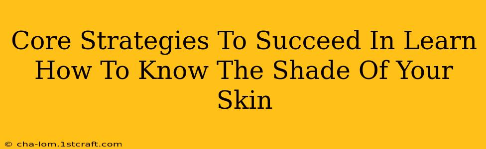 Core Strategies To Succeed In Learn How To Know The Shade Of Your Skin