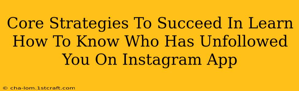 Core Strategies To Succeed In Learn How To Know Who Has Unfollowed You On Instagram App