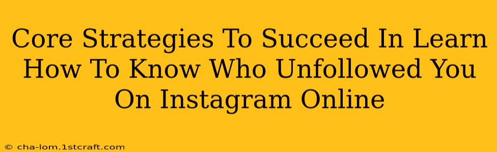 Core Strategies To Succeed In Learn How To Know Who Unfollowed You On Instagram Online