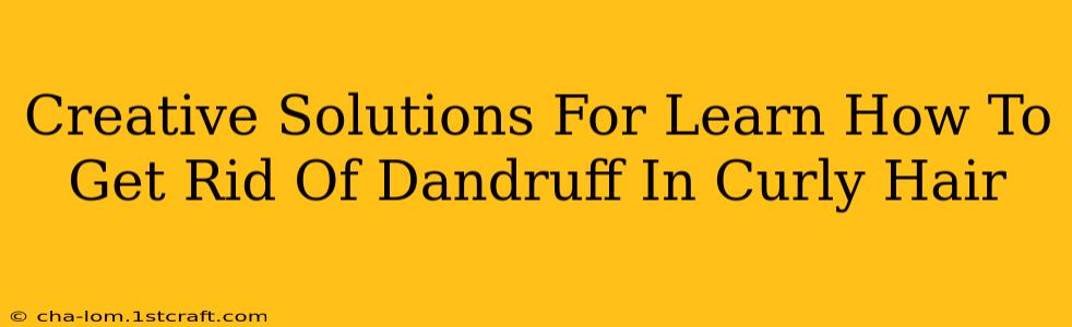 Creative Solutions For Learn How To Get Rid Of Dandruff In Curly Hair