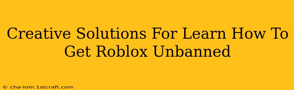 Creative Solutions For Learn How To Get Roblox Unbanned