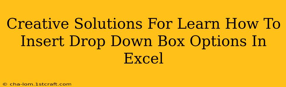 Creative Solutions For Learn How To Insert Drop Down Box Options In Excel