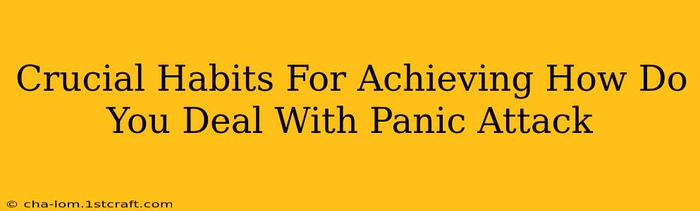 Crucial Habits For Achieving How Do You Deal With Panic Attack