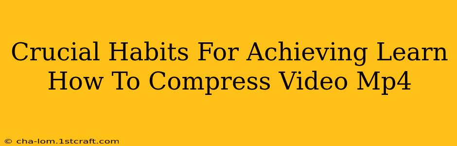 Crucial Habits For Achieving Learn How To Compress Video Mp4