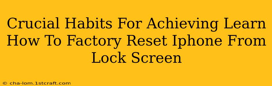 Crucial Habits For Achieving Learn How To Factory Reset Iphone From Lock Screen