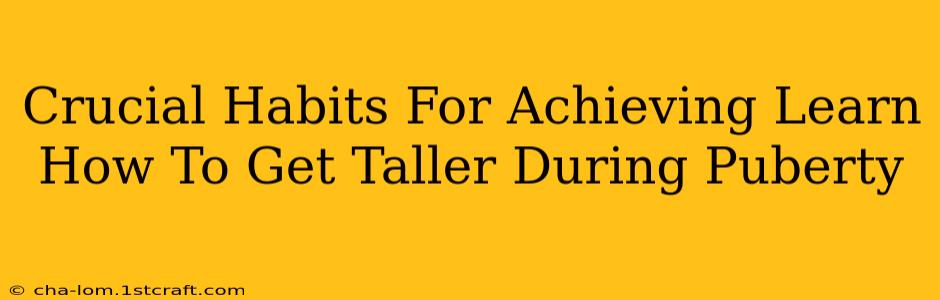 Crucial Habits For Achieving Learn How To Get Taller During Puberty