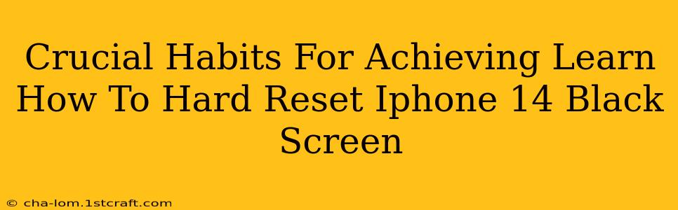 Crucial Habits For Achieving Learn How To Hard Reset Iphone 14 Black Screen