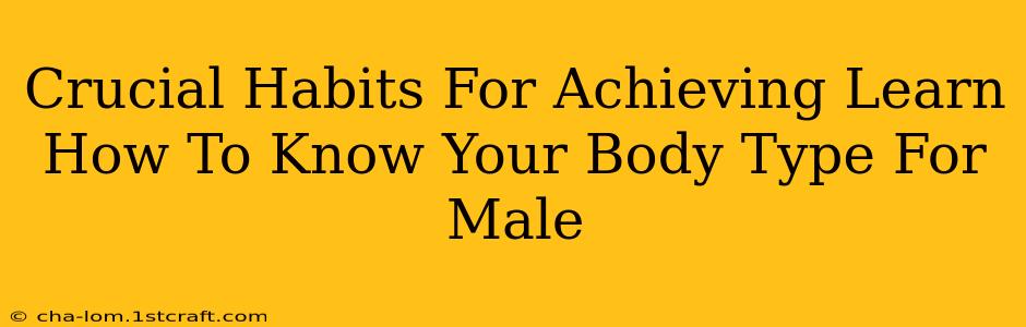 Crucial Habits For Achieving Learn How To Know Your Body Type For Male