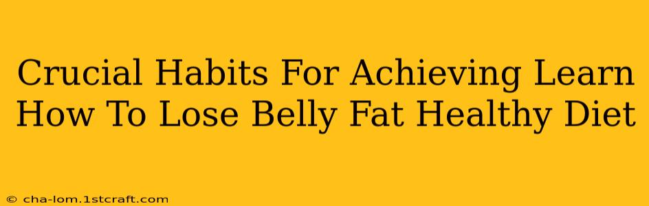 Crucial Habits For Achieving Learn How To Lose Belly Fat Healthy Diet