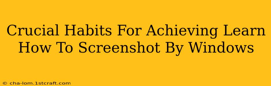 Crucial Habits For Achieving Learn How To Screenshot By Windows