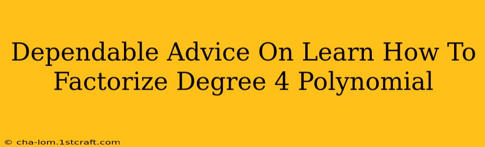 Dependable Advice On Learn How To Factorize Degree 4 Polynomial