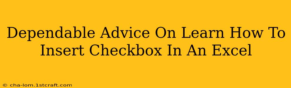 Dependable Advice On Learn How To Insert Checkbox In An Excel