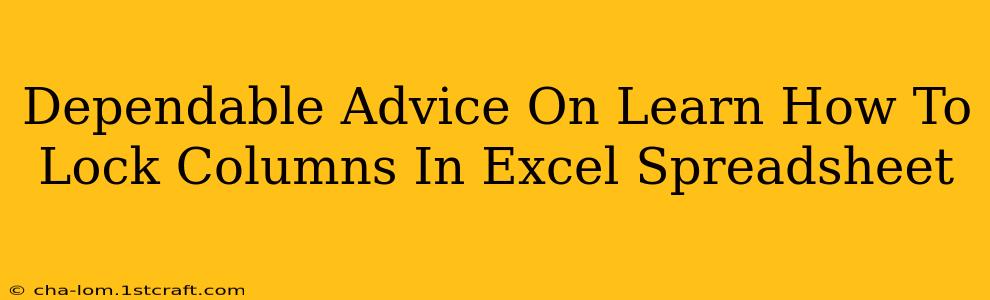 Dependable Advice On Learn How To Lock Columns In Excel Spreadsheet