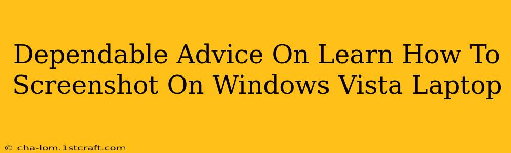 Dependable Advice On Learn How To Screenshot On Windows Vista Laptop