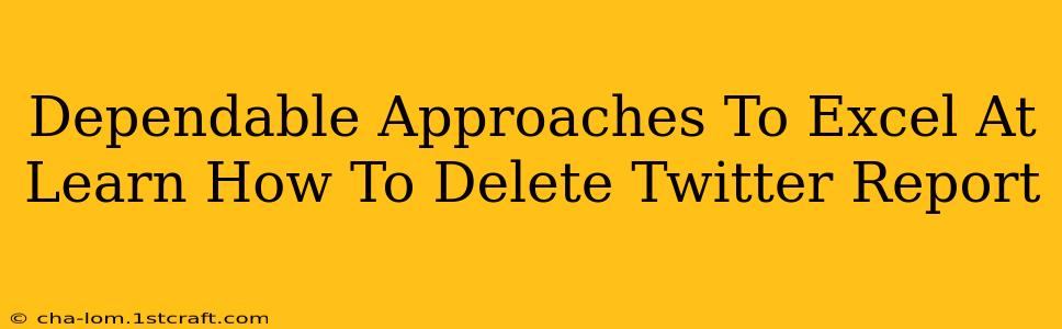 Dependable Approaches To Excel At Learn How To Delete Twitter Report