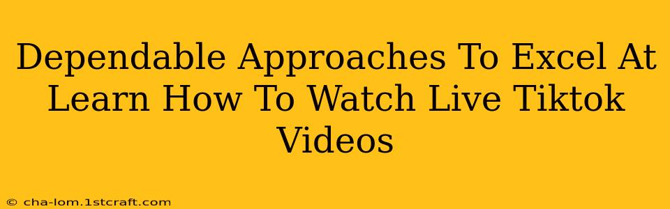 Dependable Approaches To Excel At Learn How To Watch Live Tiktok Videos