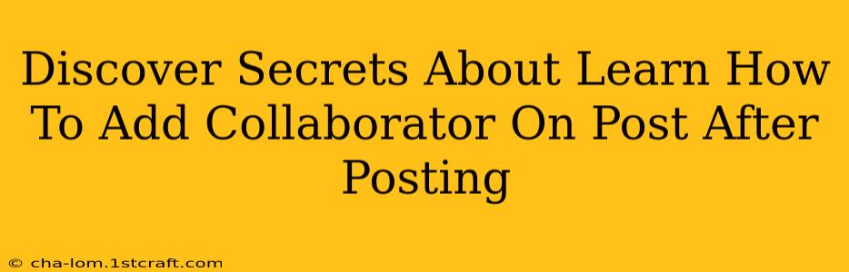 Discover Secrets About Learn How To Add Collaborator On Post After Posting