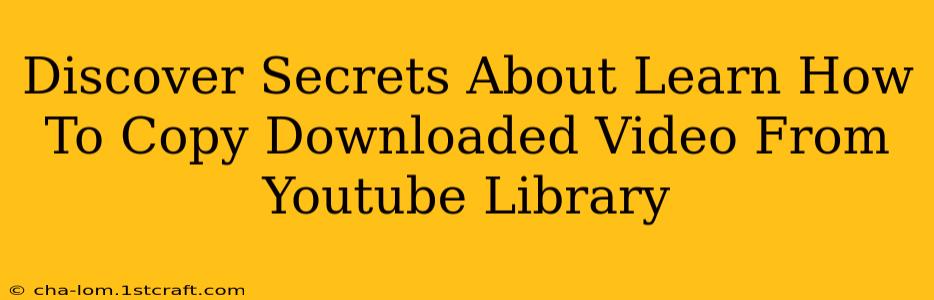 Discover Secrets About Learn How To Copy Downloaded Video From Youtube Library