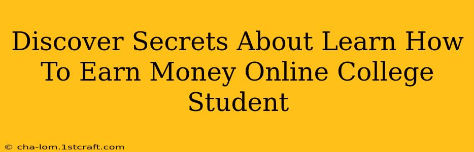 Discover Secrets About Learn How To Earn Money Online College Student