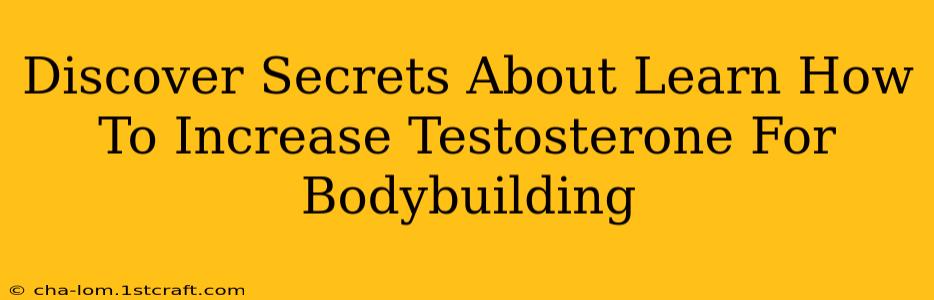 Discover Secrets About Learn How To Increase Testosterone For Bodybuilding