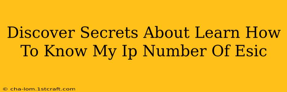 Discover Secrets About Learn How To Know My Ip Number Of Esic