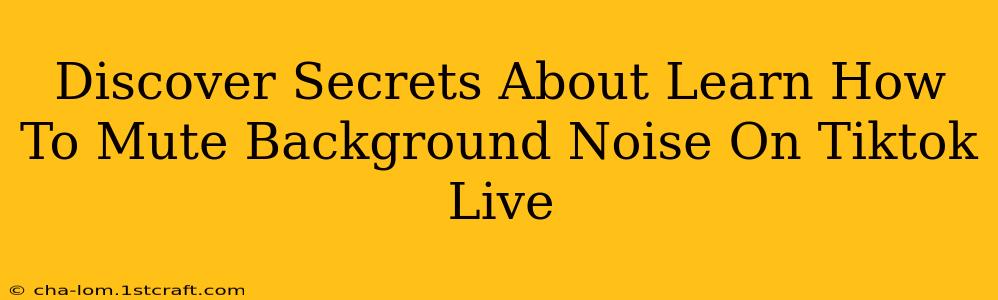 Discover Secrets About Learn How To Mute Background Noise On Tiktok Live