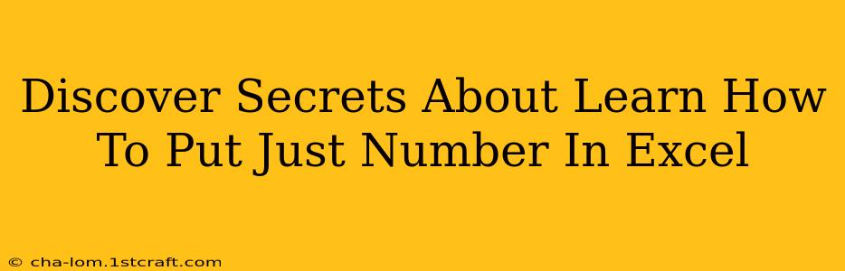 Discover Secrets About Learn How To Put Just Number In Excel