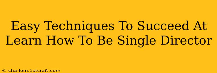 Easy Techniques To Succeed At Learn How To Be Single Director