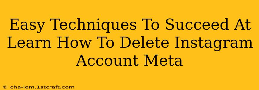 Easy Techniques To Succeed At Learn How To Delete Instagram Account Meta