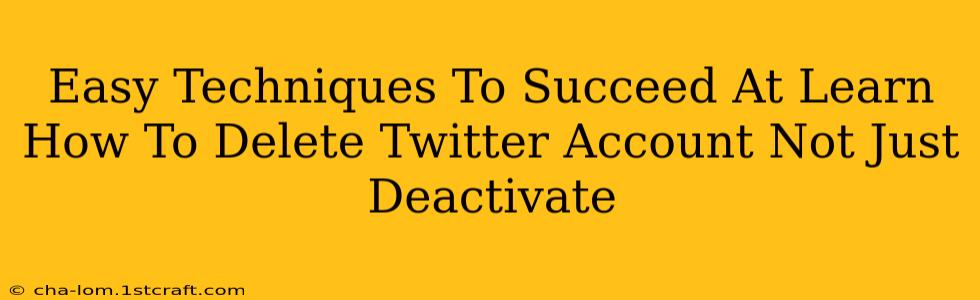 Easy Techniques To Succeed At Learn How To Delete Twitter Account Not Just Deactivate