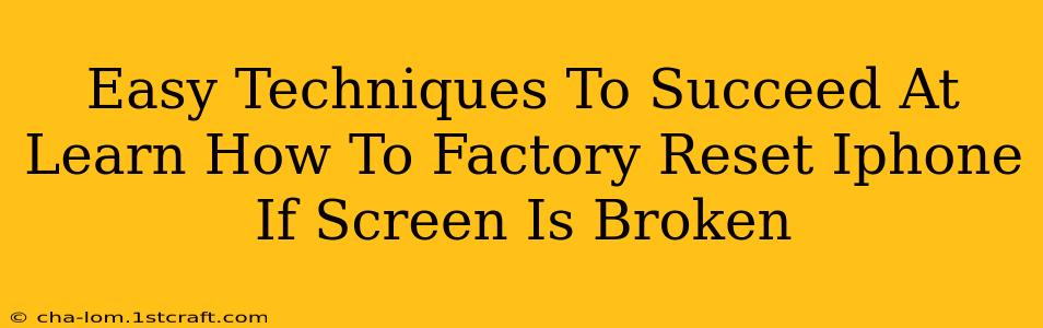 Easy Techniques To Succeed At Learn How To Factory Reset Iphone If Screen Is Broken