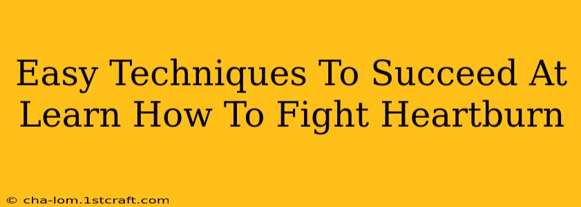 Easy Techniques To Succeed At Learn How To Fight Heartburn