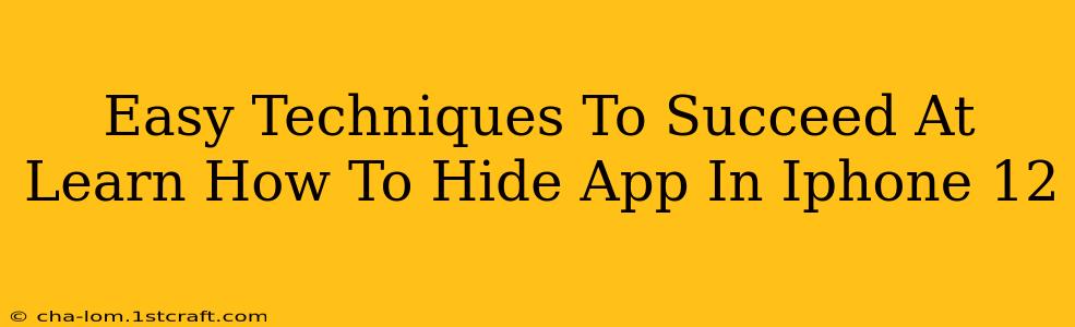 Easy Techniques To Succeed At Learn How To Hide App In Iphone 12