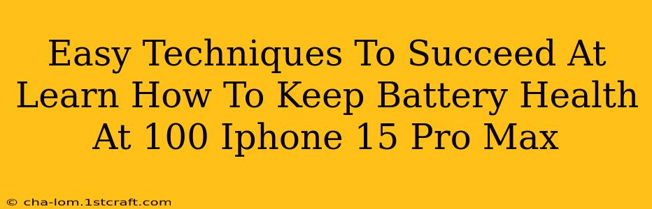 Easy Techniques To Succeed At Learn How To Keep Battery Health At 100 Iphone 15 Pro Max