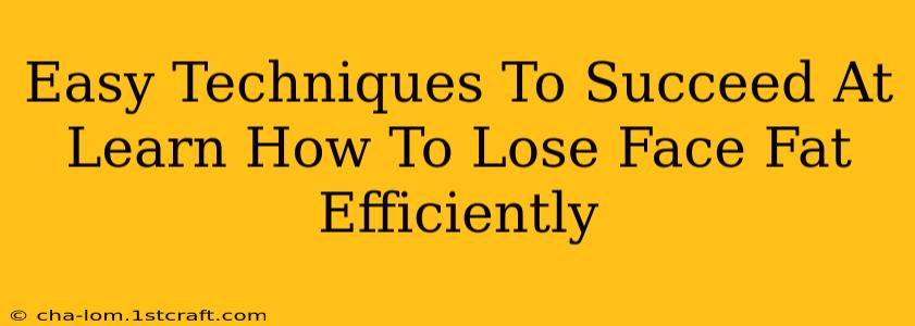 Easy Techniques To Succeed At Learn How To Lose Face Fat Efficiently