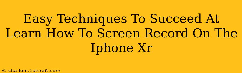 Easy Techniques To Succeed At Learn How To Screen Record On The Iphone Xr