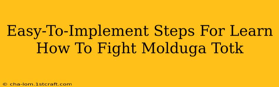 Easy-To-Implement Steps For Learn How To Fight Molduga Totk